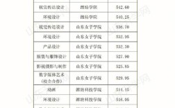 2020年438分山东理科哪些院校录取？（山东商业职业学院美术生分数线）