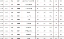 齐鲁医药学院2015各系分数线？（山东大学齐鲁医学院江西分数线2015）