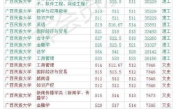 广西民族大学2021年录取分数线？广西民族中学2020分数线