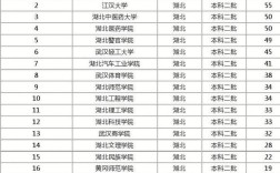 湖北二本大学排名？（武汉公立二本大学排名及分数线）