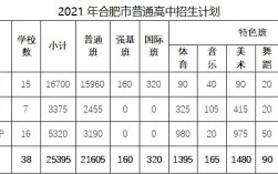 合肥168中学2021分数？（合肥小168历年来录取分数线）