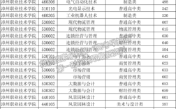 漳州职业技术学院小高考要多少分？（漳州职业技术学院各省录取分数线）