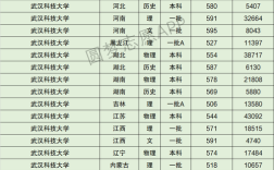 武汉科技大学2021年录取分数？（武汉大学2009年分数线）