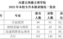 内蒙古鸿德文理学院2020年学费？（内蒙古鸿德文理学院2020年分数线）
