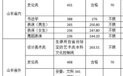 2020山东石油化工学院各科录取线？山东工艺美术学院2020美术分数线