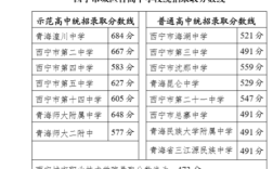2020年青海省中考分数线？（2020年青海省的分数线）