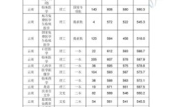 大理大学招生2023分数多少？（大理大学工程学院历年录取分数线）