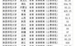 体育大学2020体育生录取分数线？（2020体育高考专业本科分数线）