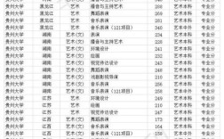 2020贵州大学艺考生文化分数线？贵州商2020专业文化分数线