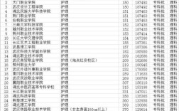 大连大学23年护理专业文科辽宁录取分数线？（辽宁护理技术职业学院录取分数线）