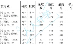 2020年曲靖师范学院录取分数？（曲靖师范录取分数线2019云南）