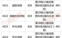 2020邵阳学院录取分数线？（邵阳学院艺术文化分数线）