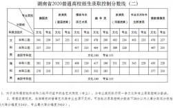 湖南艺术学院的录取分数线是多少？（湖南大学2020编导分数线）