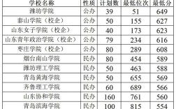 2021年山东春考公办专科所有学校分数线？（山东春考专科医药分数线）