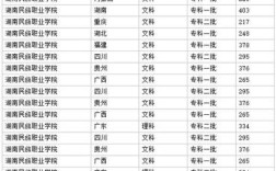 湖南民族学院是三本吗？（湖南民族职业学院19年录取分数线）