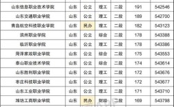 山东省分数线在300左右的专科学校有那些？（济宁师范学院专科历年分数线）