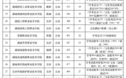 高考考了200多分，在湖南，能去哪些省内高职的学校，谢谢？（湖南信息职业技术学校2019年分数线）